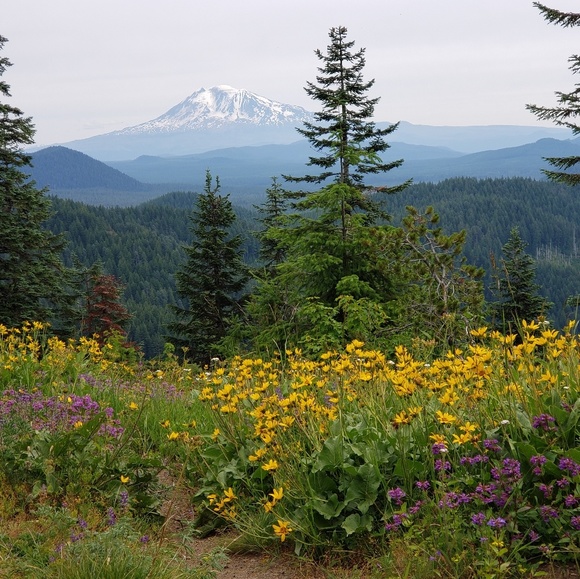 Meet your Posher, Karin - Picture 3 of 6